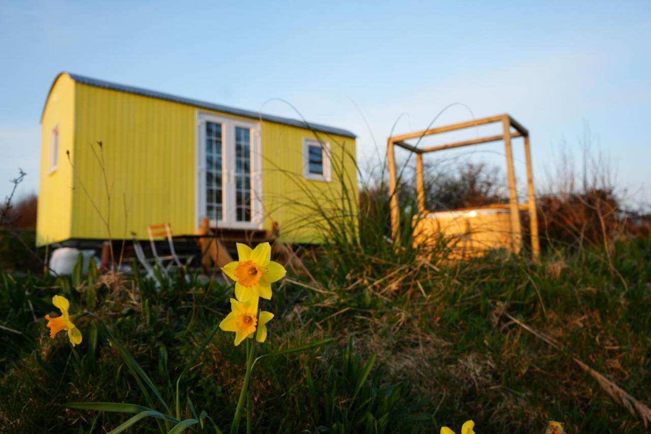 Villa Primrose Tenby Exterior foto